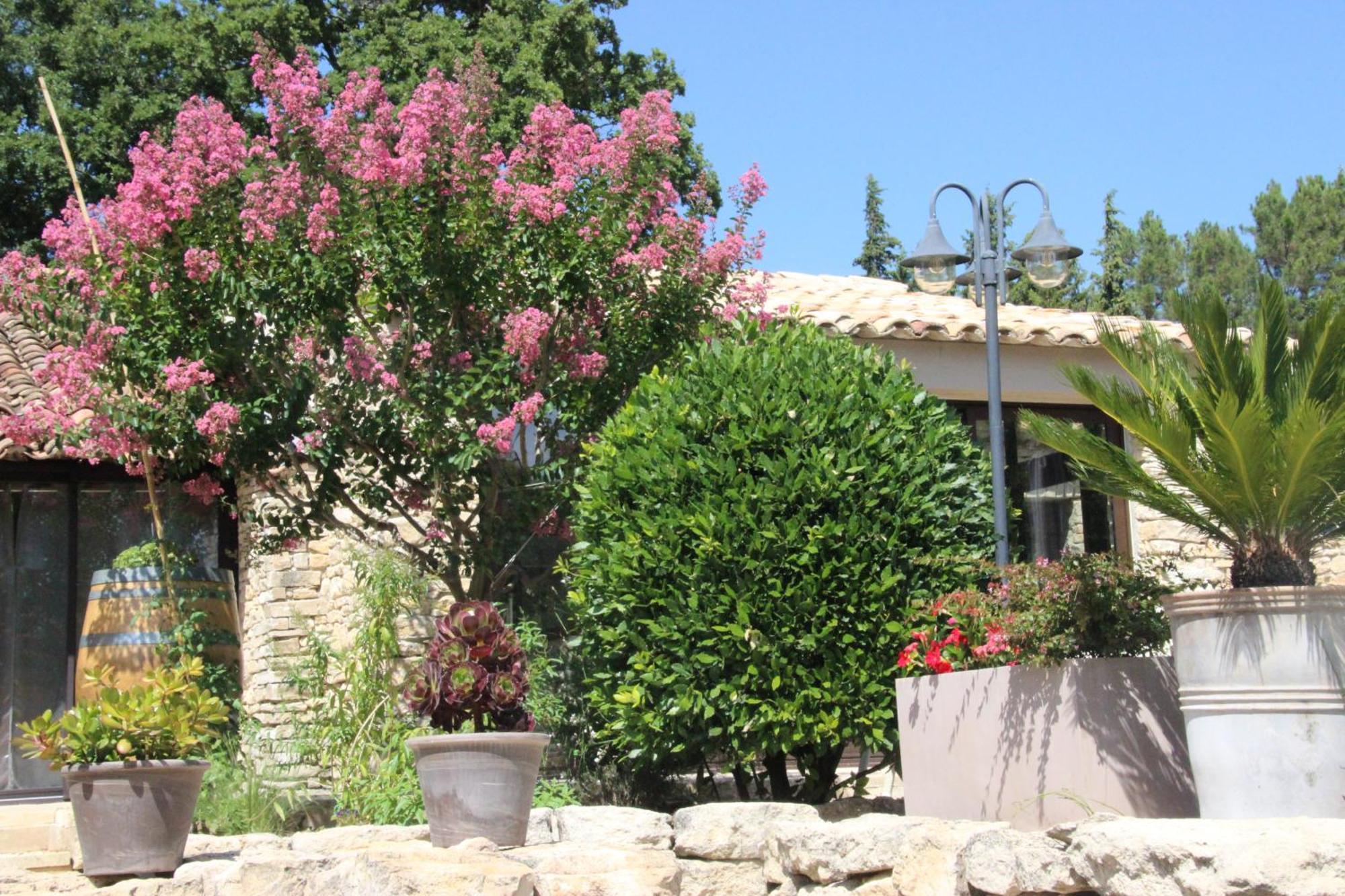 Fleur De Lavande Gordes Dış mekan fotoğraf