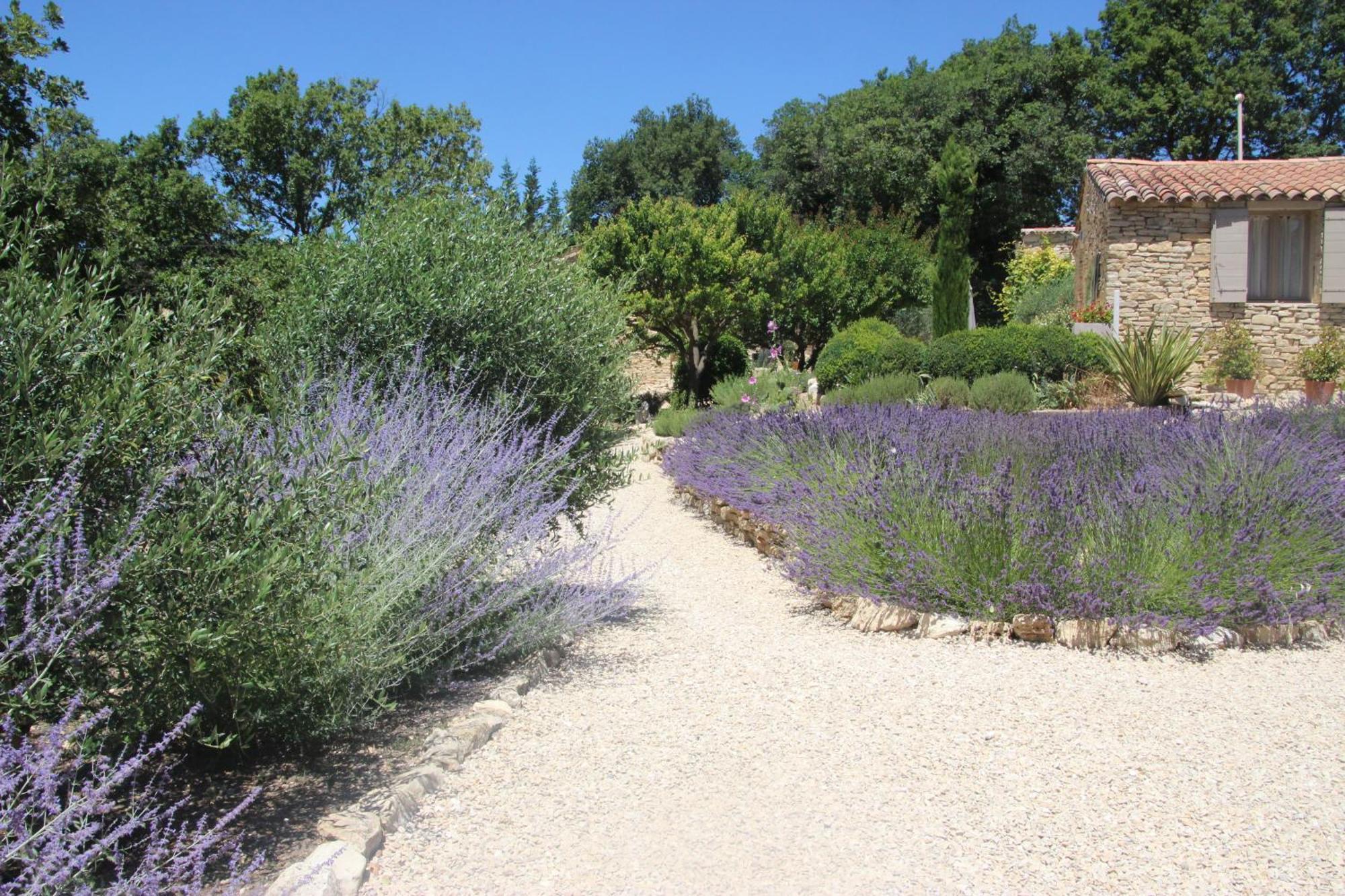 Fleur De Lavande Gordes Dış mekan fotoğraf